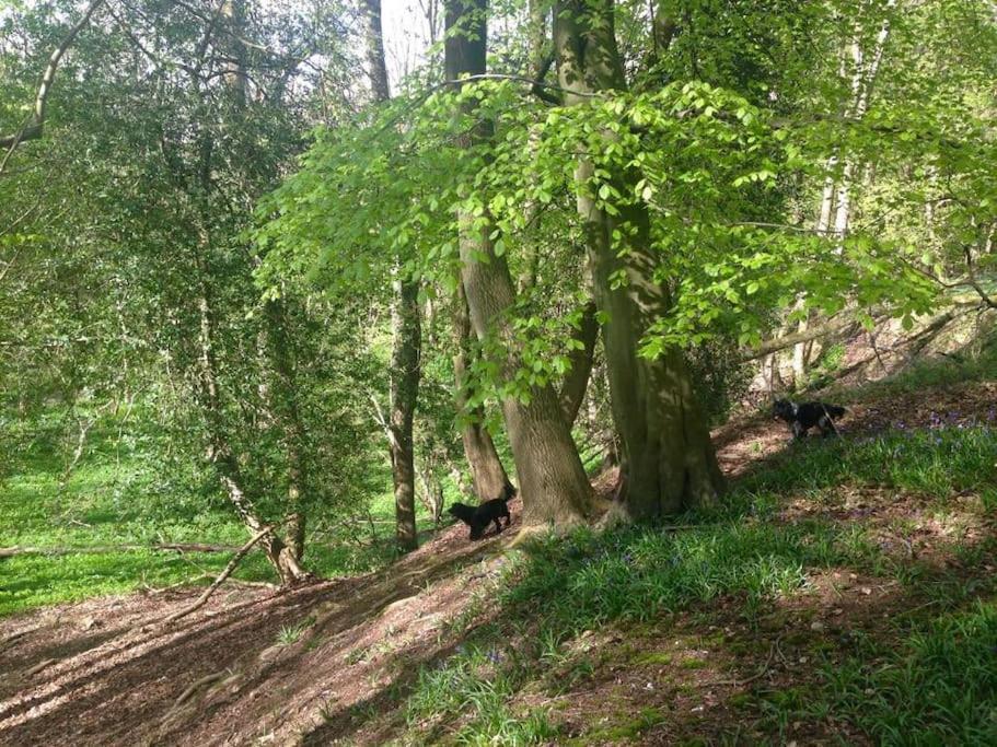 Bumblebee Cottage - Cosy Cottage In Area Of Outstanding Natural Beauty Hemel Hempstead Exteriör bild