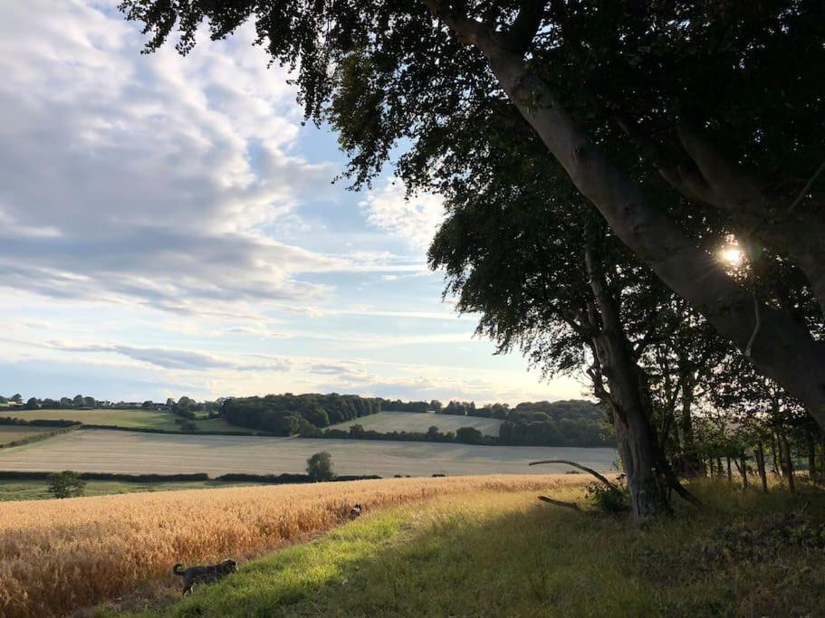 Bumblebee Cottage - Cosy Cottage In Area Of Outstanding Natural Beauty Hemel Hempstead Exteriör bild